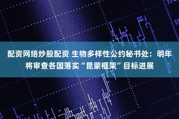 配资网络炒股配资 生物多样性公约秘书处：明年将审查各国落实“昆蒙框架”目标进展